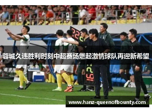 蓉城久违胜利时刻中超赛场燃起激情球队再迎新希望